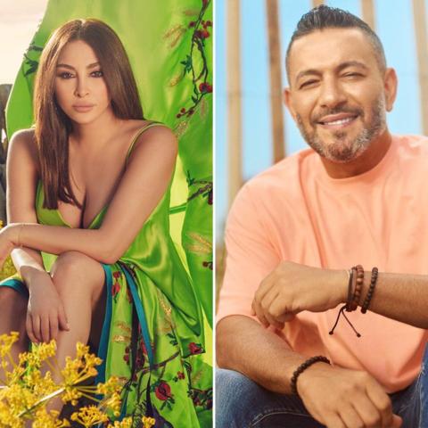 زياد برجي و إليسا - صورة معدلة من السوشيال ميديا