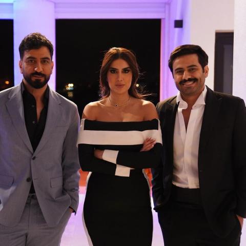 أبطال مسلسل انتقام مشروع