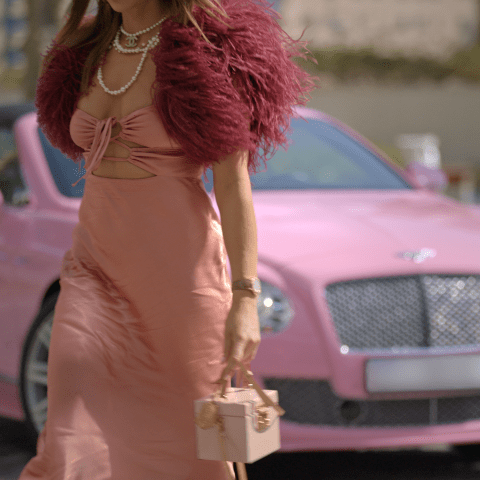 صورة من برنامج &quot;دبي Bling&quot;