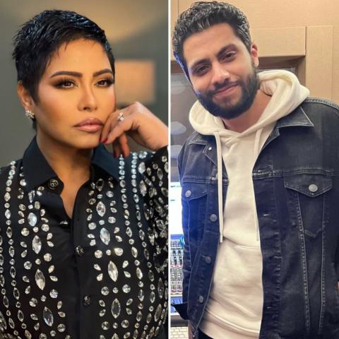 محمد عمار و شيرين - صورة معدلة من السوشيال ميديا