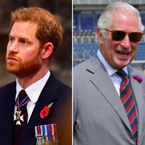 الملك تشارلز و الأمير هاري - صورة معدلة من السوشيال ميديا