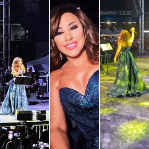 نجوى كرم من حفل هيوستن - صورة معدلة من السوشيال ميديا