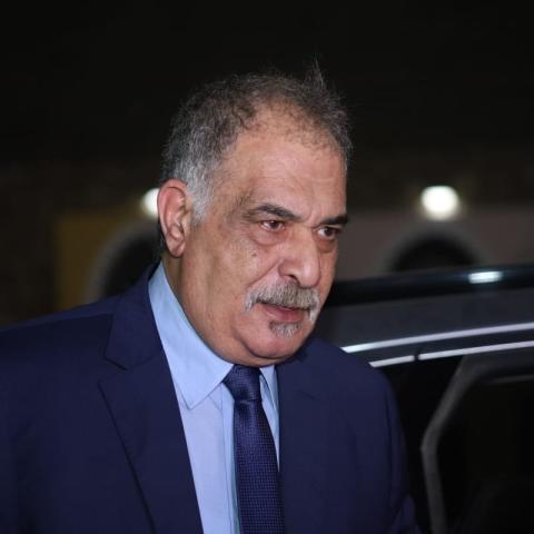 رياض الخولي