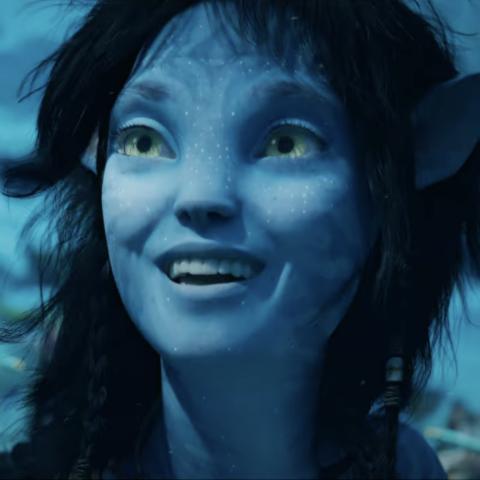 باندورا - صورة من السوشيال ميديا