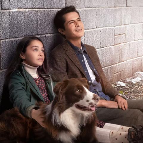 المسلسل التركي أميرة بلا تاج - فوكس