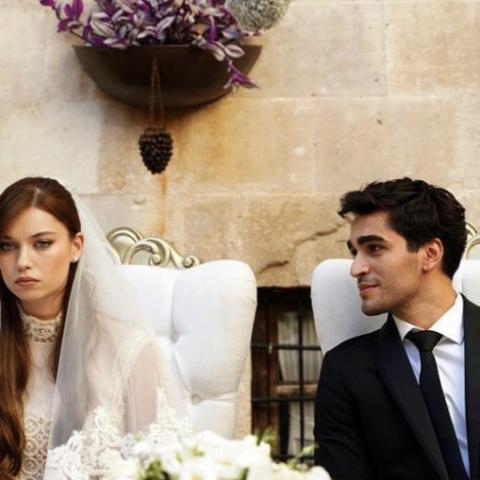 فريد وسيران في الطائر الرفراف