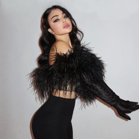 هيفاء وهبي في أحدث ظهور عبر إنستغرام