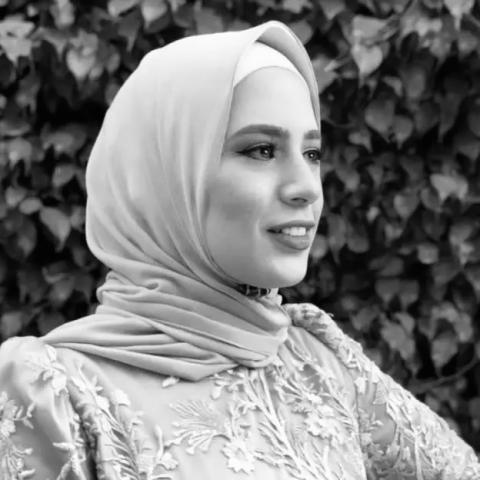 دينا صبحي  - صورة من السوشيال ميديا