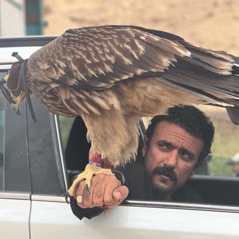 أحمد العوضي