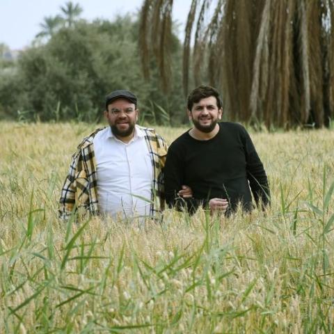 كشف مستعجل