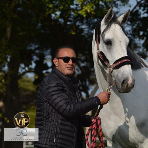 أحمد السقا - صورة من الكواليس