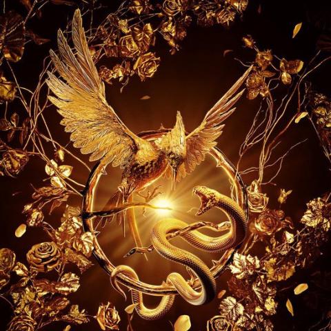 بوستر فيلم The Hunger Games