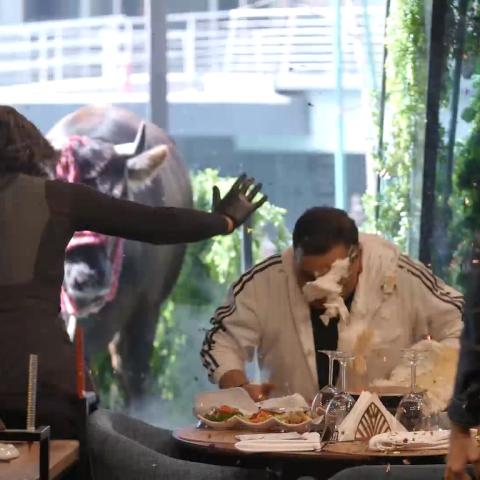 محمد فؤاد من مقلب رامز نيفر إند