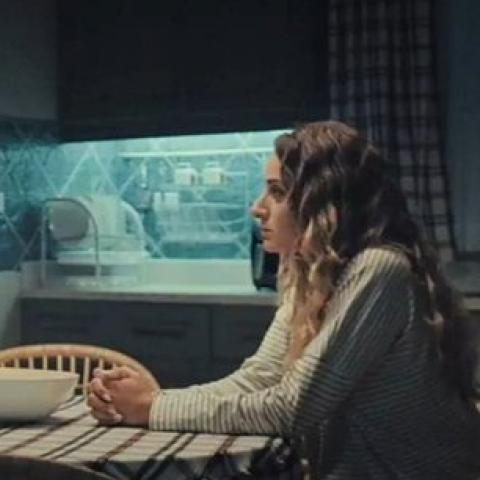 أمينة خليل و محمد شاهين - صورة معدلة