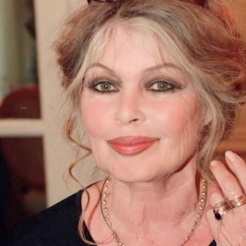 بريجيت باردو- انستقرام @brigittebardotpage