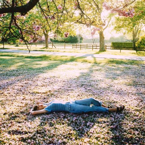 تايلور سويفت- انستقرام @taylorswift