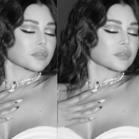 هيفاء وهبي - صورة معدلة من السوشيال ميديا