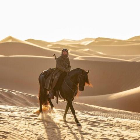 توم كروز - إنستغرام