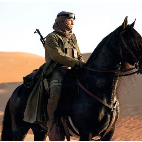 زيوس - صورة من حساب الشيخة ميثاء محمد بن راشد ال مكتوم على انستقرام