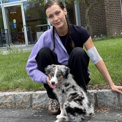 بيلا حديد - إنستغرام