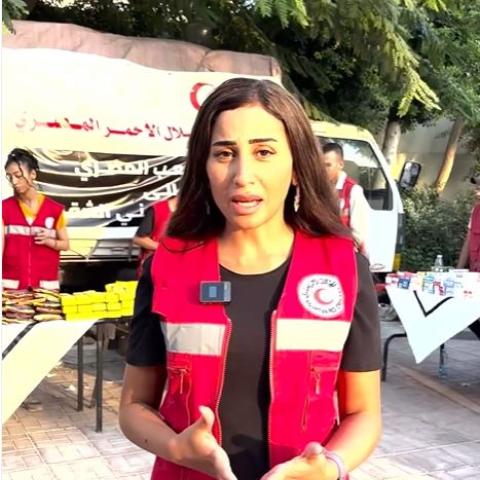 دينا الشربيني