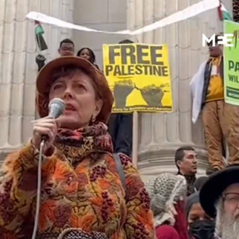 سوزان ساراندون - صورة من فيديو إنستقرام