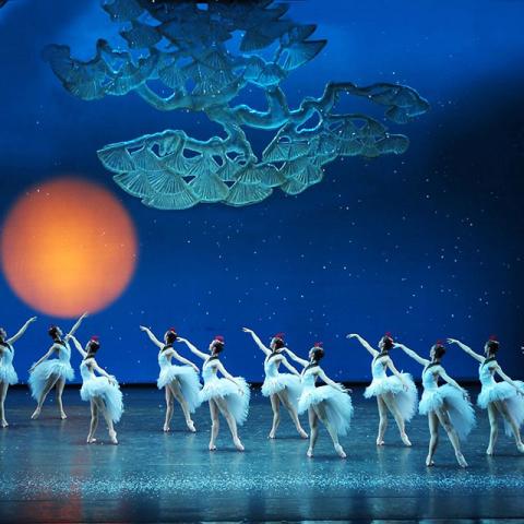 مهرجان أبوظبي 2024