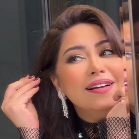 شيرين عبدالوهاب - صورة من تيكتوك طوني المندلق