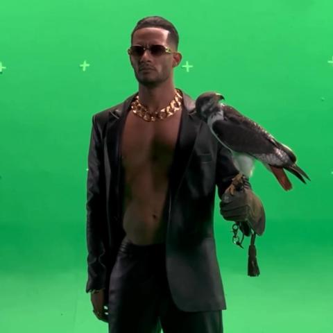 محمد رمضان مع الصقر - إنستغرام