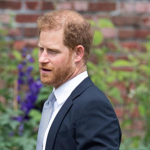 الأمير هاري والأمير ويليام