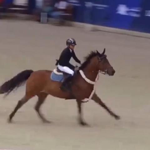 الفارس الشيخ عبدالله بن تميم بن حمد آل ثاني - تويتر