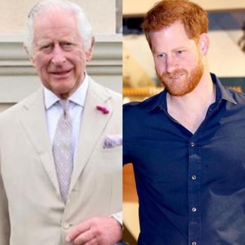 الأمير هاري والملك تشارلز - إنستغرام
