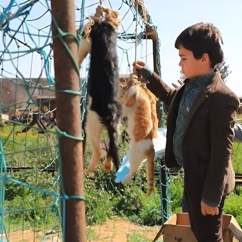 مختار الصغير من مسلسل ولاد بديعة