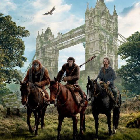 بوستر فيلم Kingdom Of The Planet  Of The Apes