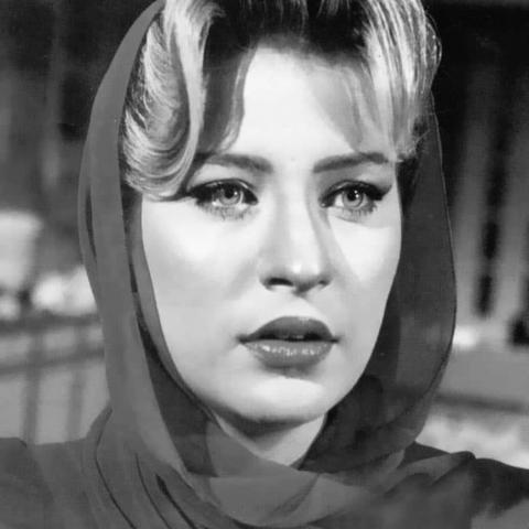 شيرين سيف النصر - صورة متداولة من اكس