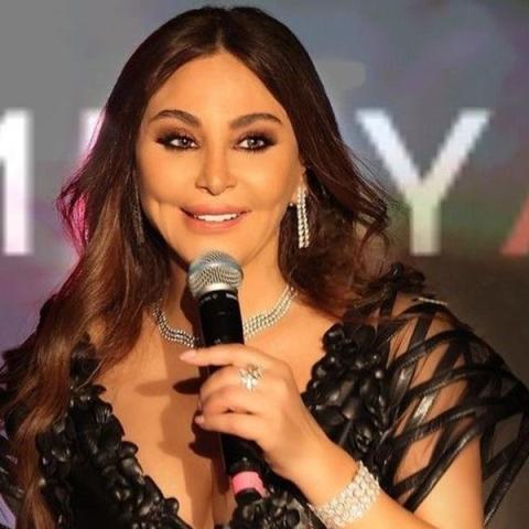 إليسا - صورة من غوغل