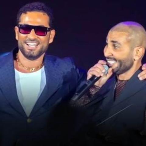 أحمد وعمرو سعد