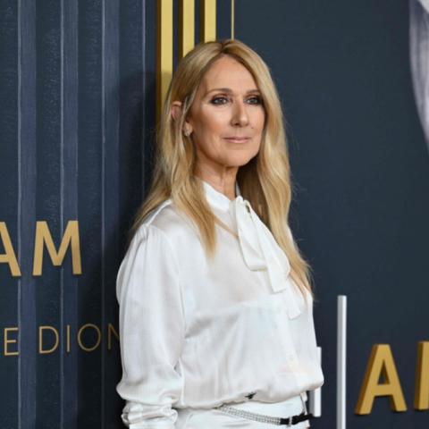 سيلين ديون - صورة من  AFP
