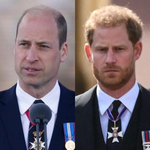الأمير هاري والأمير ويليام - تويتر