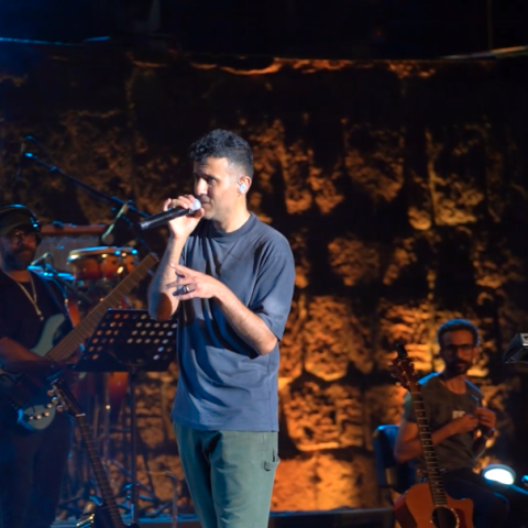 حمزة نمرة - مهرجان قرطاج الدولي