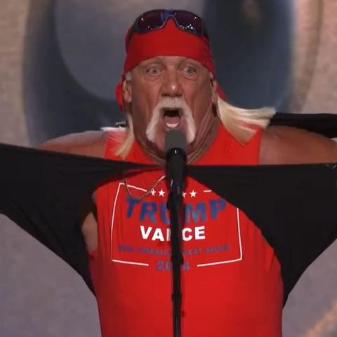 هالك هوغن - إكس