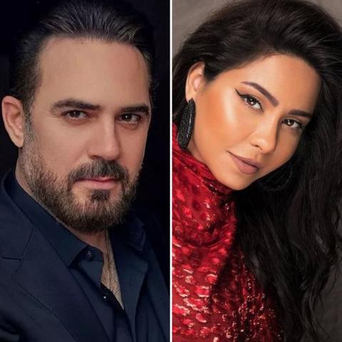 وائل جسار و شيرين - صورة معدلة