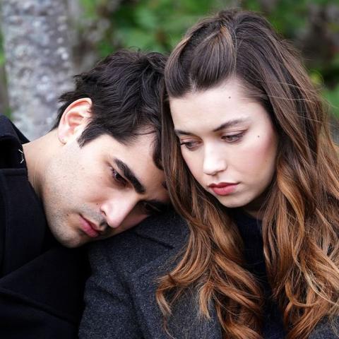 صورة من الطائر الرفراف