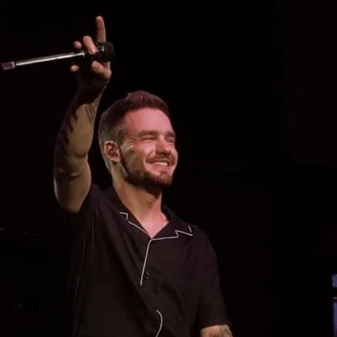 ليام باين - إكس