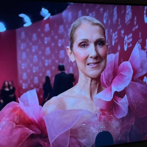 سيلين ديون من الرياض - صورة معدلة