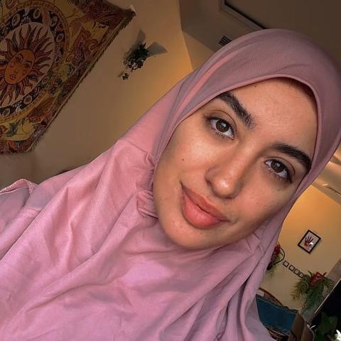 نينا عبد الملك - صورة معدلة من السوشيال ميديا