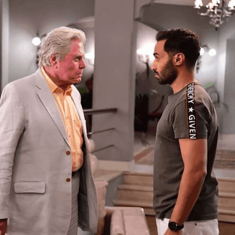 حسين فهمي وأحمد فهمي