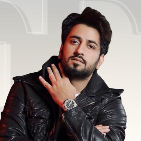 محمود بوشهري - صورة معدلة