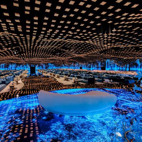 ديكور قاعة حفل زفاف الأمير أحمد بن سلطان و الأميرة حصة بن فيصل