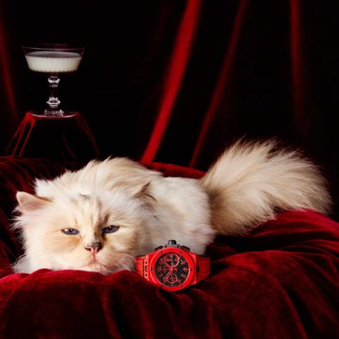 Choupette: من قطة مدللة إلى نجمة عالم الساعات مع هوبلو